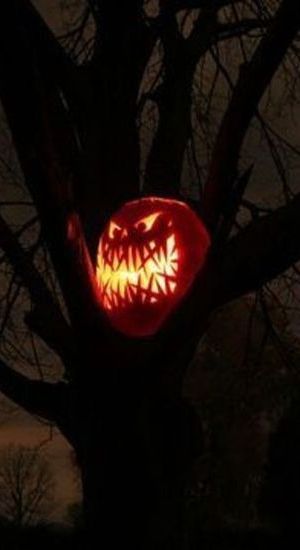 Hallows Eve ☾ ☠ Halloween Gate, Windy Night, Gothic Noir, Amazing Pumpkin Carving, Holiday Hack, Lantern Ideas, Pumpkin Carvings, Pumpkin Carving Patterns, Halloween Vibes