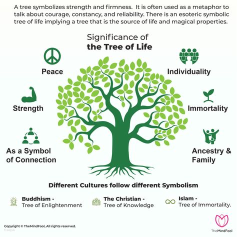 Atree symbolizes strength and firmness. It is often used as a metaphor to talk about courage, constancy, and reliability. There is an esoteric tree of life meaning the source of life and magical properties. This concept is quite popular and mentioned by different ancient cultures.  #divinemasculine #divinefeminine #twinflame #love #twinflames #spirituality #spiritualawakening #selflove #tarot #ascension #twinflamejourney #awakening #twinflameunion #healing #soulmate #tarotreading #sacredunion Tree Symbolism Meaning, Tree Of Life Symbolism Meaning, Tree Of Life Tattoo Meaning, Tree Of Life Meaning Spiritual, Tree Of Life Quotes, Tree Of Peace, Tree Meanings, Tree Of Life Meaning, Healing Tree