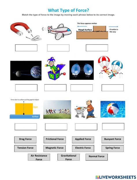 Force Worksheet, Types Of Forces, Energy Quiz, States Of Matter Worksheet, Matter Worksheets, Triangle Worksheet, Preschool Math Worksheets, Force And Motion, English Worksheets