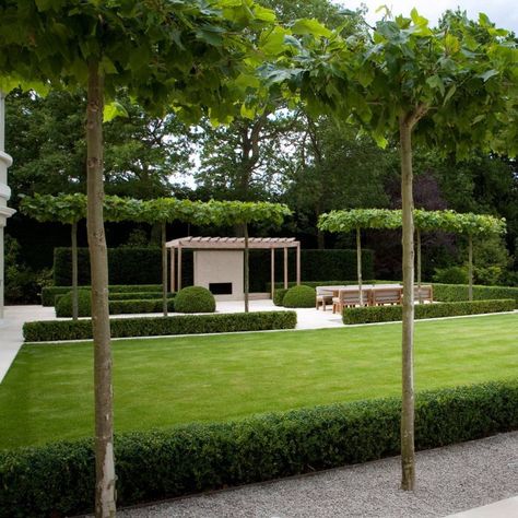 Clean lines Contemporary Garden Design, Landform, Estate Garden, Modern Garden Design, Garden Architecture, Formal Gardens, Garden Pathway, Garden Landscape Design, Garden Layout