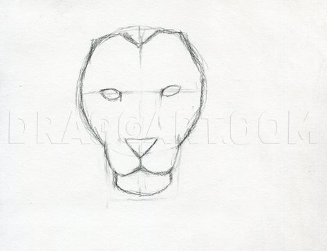 How To Sketch A Lion, Step by Step, Drawing Guide, by finalprodigy | dragoart.com Easy Sketching Ideas, Easy Sketching, Sketches People, Easy Drawing Ideas For Beginners, Lion Face Drawing, Easy Pencil Drawings, Drawing Ideas For Beginners, Easy Sketches, Lion Sketch