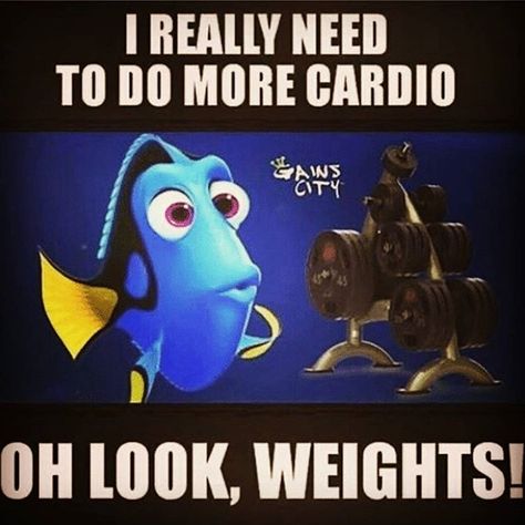 See this Instagram photo by @fattycatty_fittykitty • 30 likes Lifting Humor, Gym Humour, Gym Memes Funny, Morning Gym, Fitness Humor, Fitness Shirts, Muscle Builder, Funny Gym Quotes, Gym Quote