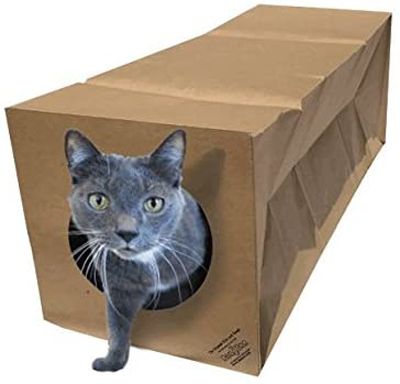 Katt Grejer, Serious Cat, Biodegradable Materials, Cat Tunnel, Interactive Cat Toys, Catnip Toys, Unique Cats, Cat Behavior, Indoor Cat