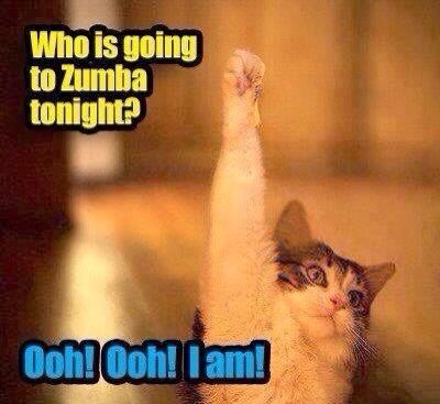 Zumba Meme, Zumba Memes, Zumba Funny, Zumba Style, Zumba Quotes, Zumba Shirts, Thursday Workout, Zumba Dance, Dance Teachers