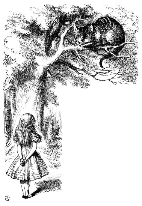 Original 1865 Alice in Wonderland drawings - Surrey Live Alice In Wonderland Original, Cheshire Cat Art, Cat Mad, Alice In Wonderland Drawings, Alice In Wonderland Illustrations, Wonderland Tattoo, John Tenniel, Alice In Wonderland Costume, Ink Artwork