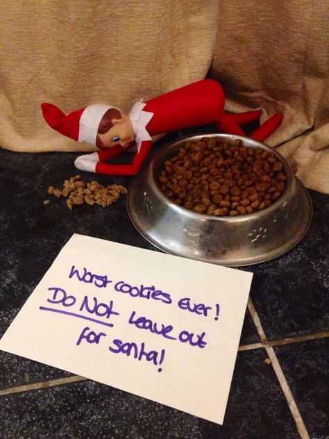 Poor Christmas, Elf On Shelf Notes, Elf Ideas Easy, Elf Activities, Xmas Elf, Elf Fun, Elf Ideas, Amazing Life Hacks, The Dogs