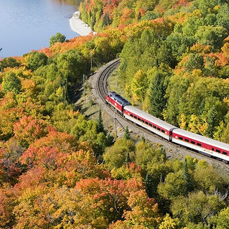 Sault Ste Marie, Scenic Train Rides, Ontario Travel, Train Tour, Free Things To Do, Train Rides, City Travel, Enter To Win, In The Fall