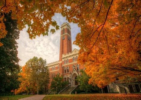 Vanderbilt University, Southern Hospitality, Scholarships For College, Unique Venues, College Campus, University Campus, Education College, College Fun, Music City