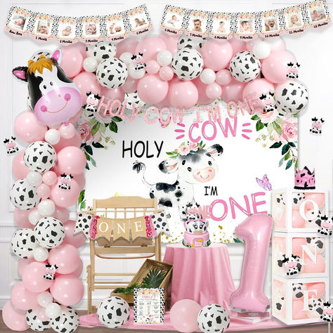 Cow Theme First Birthday Girl, Holy Cow I’m One Girl, Holy Cow Im One Birthday Girl Decor, Holly Cow Im One Party, Holy Cow Birthday Party Ideas, One Year Old Birthday Decorations, Cow First Birthday Party, Cow 1st Birthday Girl, Cow First Birthday Girl