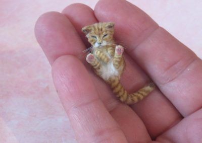 Cats - Dolls House Pets Doll House Pets, House Pets, Dollhouse Miniature Tutorials, Animal Crackers, Miniatures Tutorials, Cat Doll, Character Creation, Dolls House, Crackers