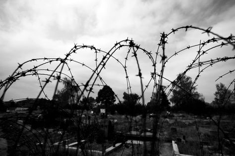 Barbed wire Barbed Wire Aesthetic, Wire Aesthetic, Camping Aesthetic, In Memoriam, Book Aesthetics, Barbed Wire, Union Jack, Scavenger Hunt, Book Aesthetic