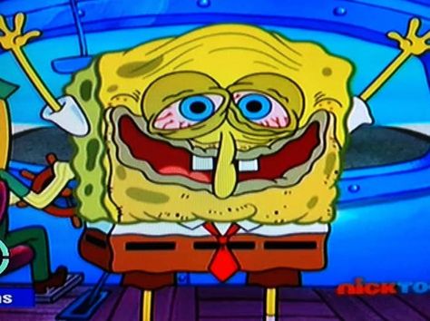 When you wake up hungover and someone already made coffee: 23 SpongeBob Reactions For Everyday Situations Spongebob Reaction, Spongebob Faces, Pet Snails, Spongebob Pics, The Spongebob, Spongebob Square, Spongebob Funny, Graduation Cap Decoration, Cap Decorations