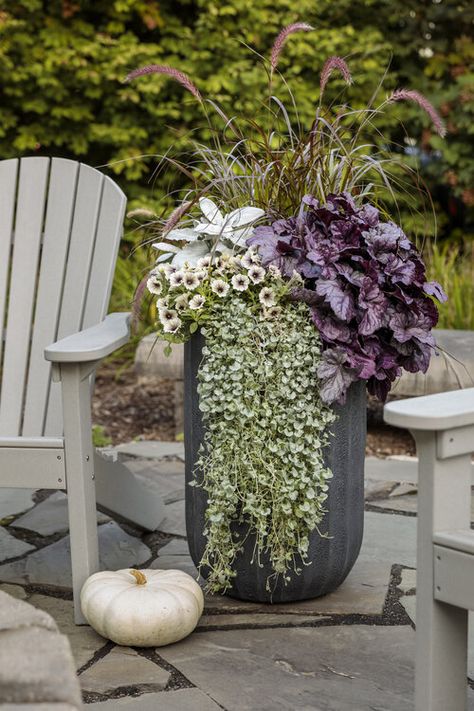 Fall Container Plants, Fall Flower Pots, Fall Pots, Summer Planter, Fall Container Gardens, Fall Containers, Container Garden Design, Potted Plants Outdoor, Grasses Landscaping