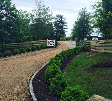 I love a boxwood lined driveway! Inspiring Images – Interior Canvas Home Boxwoods Along Driveway, Simple Driveway Entrance Landscaping, Landscaping Along Road, Old Farmhouse Driveway, Shrub Lined Driveway, Round About Driveway Landscaping Country, Boxwood Driveway Border, Boxwood Lined Driveway, Curved Driveway Landscaping