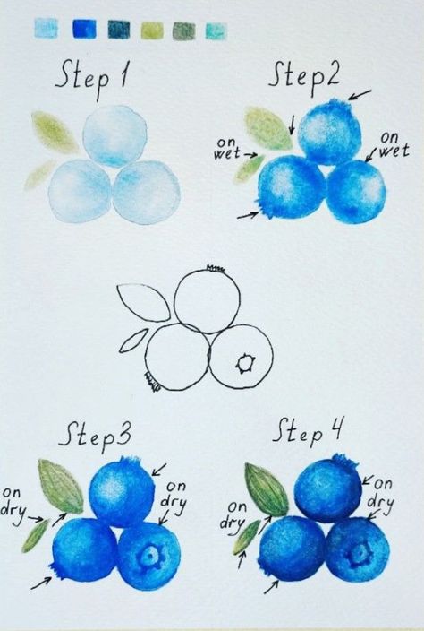 Fruits Drawing Watercolor, Watercolor For Beginners Ideas, Easy Alcohol Marker Art Simple, Watercolor Paintings Food, Watercolor Art Food, Watercolor Veggies, Blueberry Drawing, Watercolor Tutorial Step By Step, Fruit Watercolor Painting