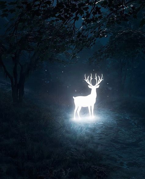 Deer Wallpaper, Deer Art, Earth Art, The Encounter, Harry Potter Art, Ethereal Art, 판타지 아트, Pics Art, Tropical Paradise