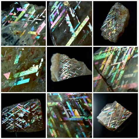 Rainbow Lattice Sunstone, Lattice Sunstone, Concept Board, Loose Stones, Come And See, Gecko, Crystals Minerals, Rocks And Minerals, Lattice