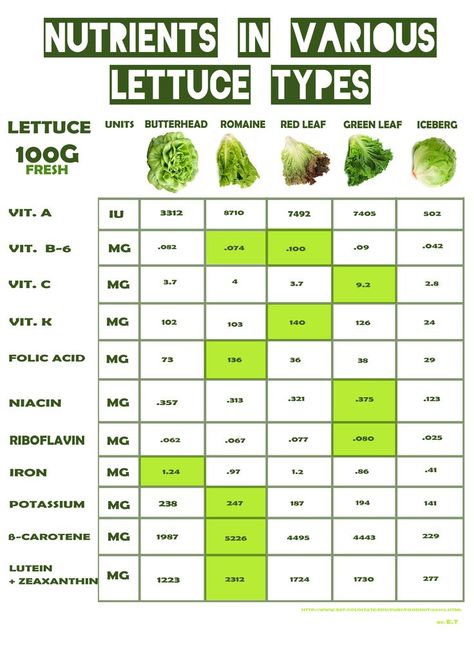 The darker the leafy greens, the more vitamins and minerals they contain. This is why iceberg lettuce has little to no nutritional value while dark romaine lettuce is full of vitamins. Always choose darker greens to get the most health benefits from your other vegetables. Lettuce Benefits, Types Of Lettuce, Butter Lettuce, Good Questions, Iceberg Lettuce, Types Of Cheese, Nutritional Value, Romaine Lettuce, Nutrition Plans