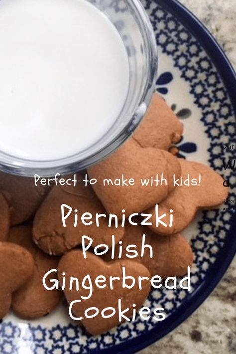 Pierniczki Polish Gingerbread - easy to prepare without a mixer! #gingerbread #christmas #cookies #polish #poland Polish Gingerbread, Polish Cookies, Polish Desserts, Eastern European Recipes, Ginger Bread Cookies Recipe, Ukrainian Recipes, Cookies Christmas, Spice Cookies, Baking Project