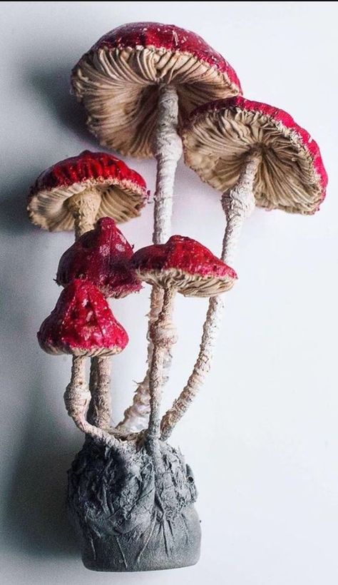 Sculpture Textile, Mushroom Crafts, Textile Sculpture, Mushroom Decor, Mushroom Art, Soft Sculpture, Vintage Fabrics, Fabric Art, Clay Art