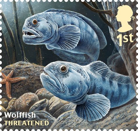 Royal Mail sustainable fish special stamps – in pictures Uk Stamps, Royal Mail Stamps, Sustainable Fishing, Rare Stamps, Mail Stamp, Fish Species, Postage Stamp Art, Marine Fish, Post Stamps