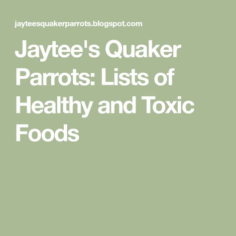 Quaker Parrot Food, Parrot Diet, Quaker Parrot, Parrot Food, Raw Peanuts, Talking Parrots, Parrots Art, Toxic Foods, Low Fat Yogurt