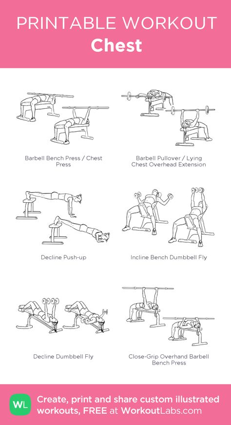 Chest: my visual workout created at WorkoutLabs.com • Click through to customize and download as a FREE PDF! #customworkout Barbell Chest Workout, Exercise Chest, Chest Workout Women, Workout Chest, Chest Workout At Home, Chest Workout For Men, Workout Labs, Gym Workout Guide, Printable Workout