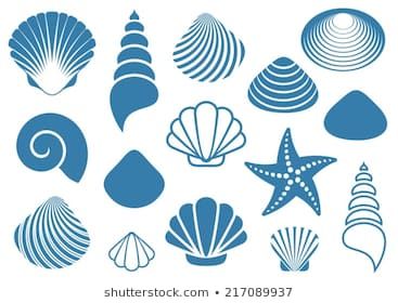 Seashell Clipart, Seashell Illustration, Silhouette Images, 자수 디자인, Stock Art, Shell Art, Black Sea, Sea Life, Starfish