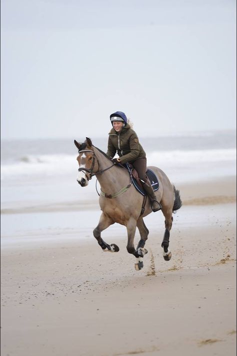 Riding in the beach. Horse Galloping With Rider, Galloping Horse And Rider, Horse Beach Riding, Mountain Horse, Beach Rides, Horse Pics, Horse Coats, Horse Galloping, English Horse