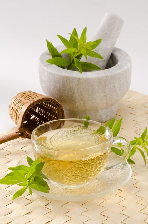 Verbena Tea Information: Learn About Growing Lemon Verbena For Tea Lemon Verbena Tea, Detox Lemonade, Cucumber Lemon Water, Tea For Colds, Organic Drinks, How To Grow Lemon, Lemon Health Benefits, Healing Tea, Making Tea