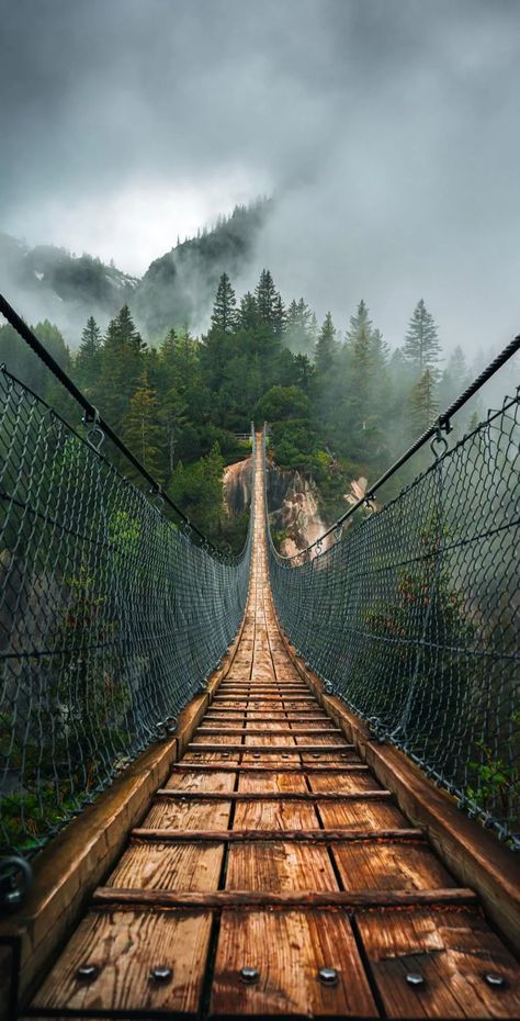 Best iPhone Wallpaper Image Bleu, رورونوا زورو, Minimal Wallpaper, Tapeta Pro Iphone, Forest Wallpaper, Landscape Features, Suspension Bridge, Cool Wallpapers Art, Beautiful Nature Wallpaper