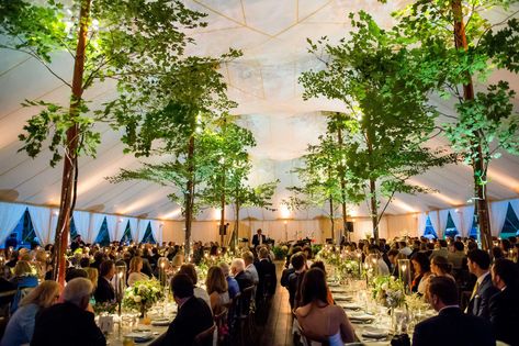 Guests enjoyed dinner and danced under trees at this tented Connecticut wedding where small trees were attached to each tent pole to create this natural and enchanting wedding tent designed by KD&J Botanica.  #weddingtent #tentedwedding #weddingflowers Tent Pole Decorations, Reception Ceiling, Outdoor Tent Wedding, Tent Wedding Reception, Tree Tent, Dream Wedding Decorations, Luxury Wedding Decor, Tent Decorations, Floral Design Studio