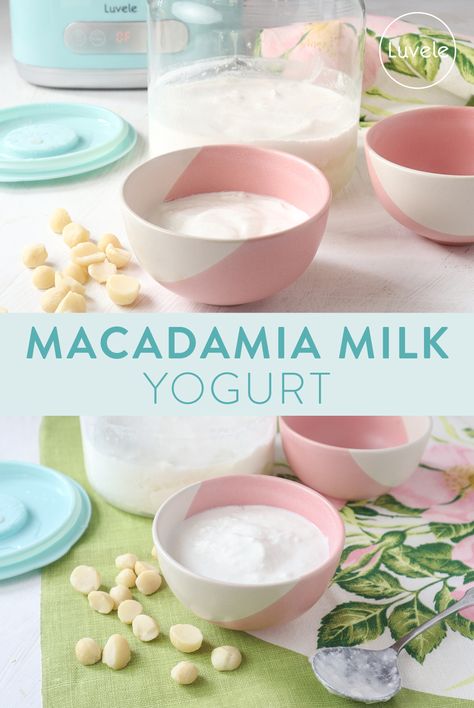 Homemade Almond Milk Yogurt, Luvele Recipes, Vegan Yogurt Recipe, Yogurt Starter Culture, Macadamia Milk, Homemade Nut Milk, Savoury Crackers, Almond Milk Yogurt, Food Dehydrators