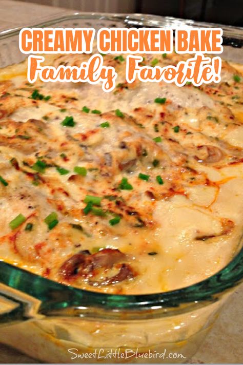 Creamy Chicken Bake - Family Favorite Recipe! Creamy Chicken Bake, Pasta Bakes, Creamy Chicken Casserole, Creamy Chicken Recipes, Chicken Tonight, Oven Chicken Recipes, Simple Chicken, Chicken Bake, Chicken Entrees