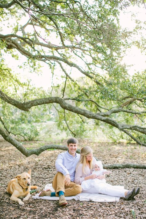 Family Pictures Sitting On Blanket, Family Photoshoot Blanket, Blanket Poses, Family Photo Pose Ideas, Family Mini Sessions, Family Photos With Baby, Family Blanket, Family Picture Poses, Family Photo Pose