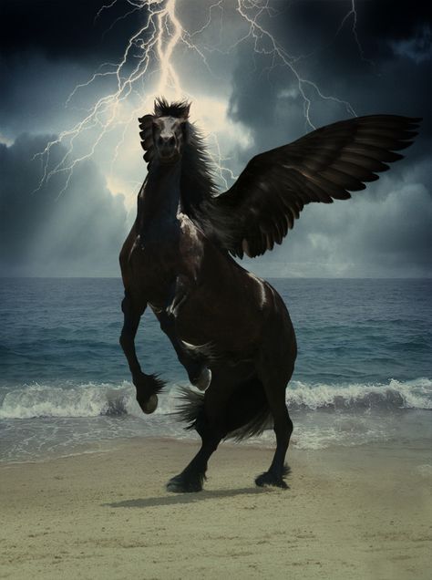 Faidn Horse With Wings, Black Pegasus, Pegasus Art, Creature Fantasy, Indian Horses, Magical Horses, Unicorn Pictures, Fantasy Horses, Winged Horse