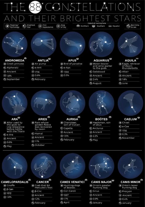 Constellation Names and Meanings – All 88 Constellations Explained - Astronimate Star Meaning, Stars Astronomy, Stars Constellations, Astronomy Facts, Astronomy Constellations, Sistem Solar, Astronomy Science, The Constellations, Space Facts