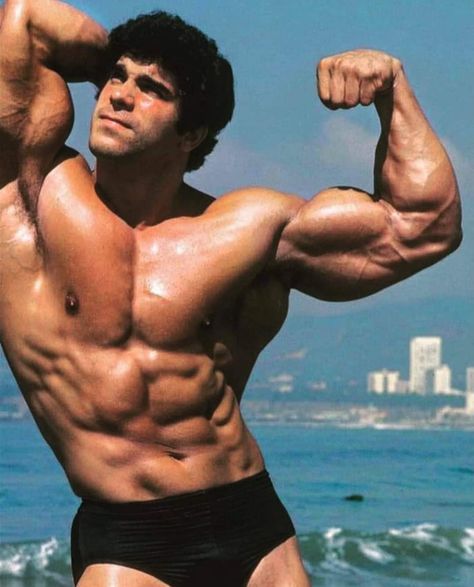 Lou Ferrigno, Male Art Reference, Arnold Schwarzenegger Bodybuilding, Schwarzenegger Bodybuilding, Pumping Iron, Body Building Men, Golds Gym, Celebrity Portraits, Body Poses