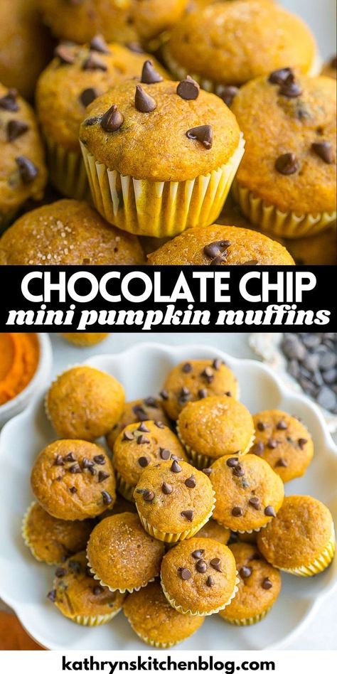 Mini Pumpkin Muffins with Chocolate Chips Mini Pumpkin Chocolate Chip Muffins, Pumpkin Muffins With Chocolate Chips, Fun Rice Krispie Treats, Chocolate Chip Pumpkin Muffins, Mini Pumpkin Muffins, Muffins With Chocolate Chips, Muffins With Chocolate, Mini Pumpkin Cheesecake, Cinnamon Roll Muffins