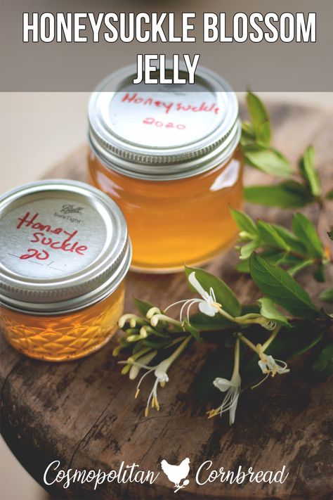 Making your own jelly is easy to do, but did you know that you can make jelly from honeysuckle blossoms? Learn how! #jelly #howtomakejelly #honeysucklejellyrecipe #honeysuckle #foraging Fireweed Jelly, Honeysuckle Jelly, How To Make Jelly, Blueberry Farm, Dandelion Jelly, Honeysuckle Flower, Dandelion Recipes, Jelly Recipes, Herbs For Health