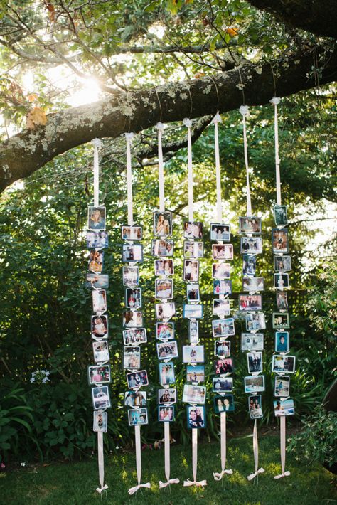 Tree With Photos Hanging, Wedding Couple Pictures Display, Wedding Photography Theme, Ideas For Wedding Party, Diy Wedding Reception, Romantic Classic, Graduation Party Planning, Wedding Readings, Wedding Notes