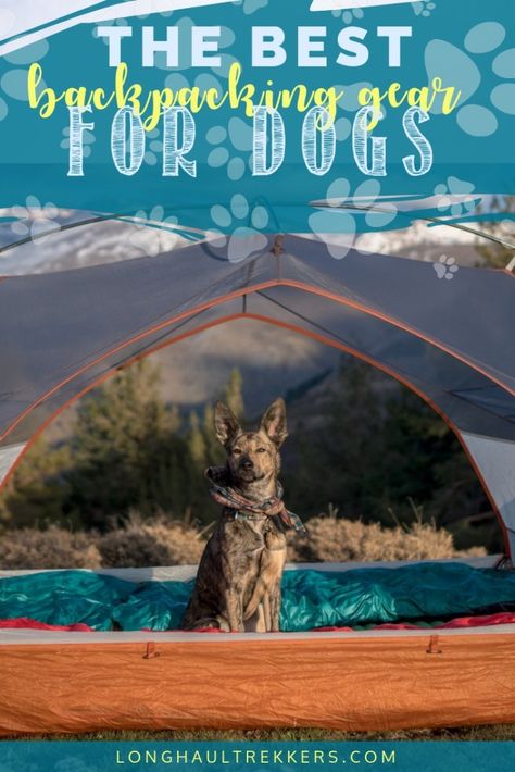 Backpacking With Dogs, Backpacking Gear Storage, Dog Bucket List, Backpacking For Beginners, Backpacking Gear List, Gear Organization, Ultralight Backpacking Gear, Dog Backpack Carrier, Dog Goggles