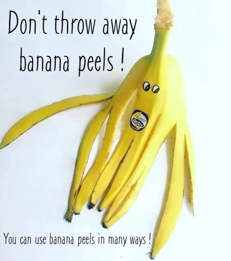 Unusual Uses for Banana Peels - HubPages Uses For Banana Peels, Banana Peel Uses, Banana Peels, Banana Peel, A Lot Of Money, People Eating, Homeopathic Remedies, Home Remedies, Money