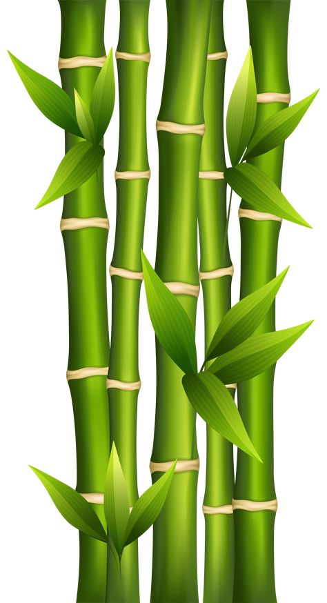 Bamboo Clipart, Bamboo Drawing, Bamboo Background, Seni Mural, Bamboo Tattoo, Afrique Art, Bamboo Art, Bamboo Tree, Bamboo Design