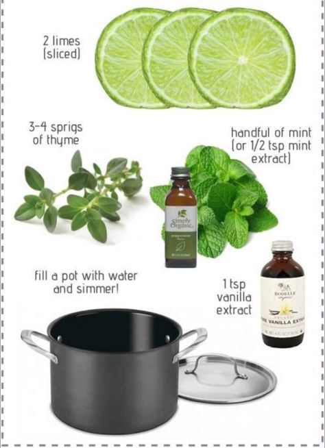 Simmer Pot Recipes, Stove Top Potpourri, Potpourri Recipes, Dental Implants Cost, Simmer Pot, Lime Recipes, Mint Extract, Diy Air Freshener, Simply Filling