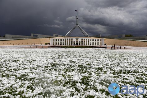 Mick Tsikas on Twitter: "Golf ball size hail after a hail storm is seen in front of Parliament House in Canberra #auspol #hailstorm… " Parliament House, Billiard Ball, Canberra Australia, Hail Storm, Houses Of Parliament, Canberra, Golf Ball, Railroad Tracks, Do Anything