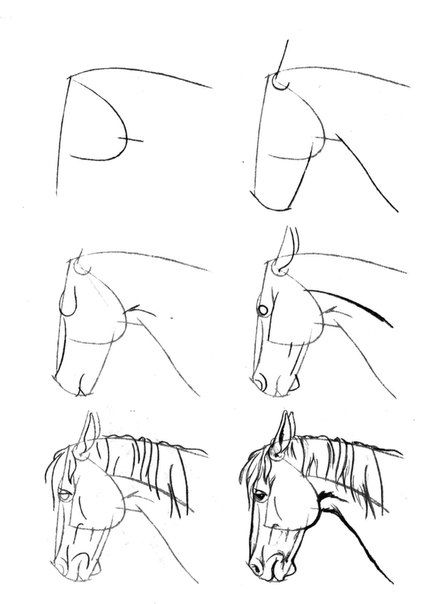 Horse Drawing Tutorial, Drawing Horses, Horse Art Drawing, Horse Sketch, Horse Art Print, Horse Tattoo, Horse Drawings, Horse Drawing, Animal Sketches