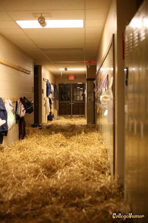 Grad Pranks, Prank Ideas, School Pranks, Funny Senior Pictures, Homecoming Spirit Week, Senior Year Fun, Senior Pranks, Senior Pictures Boys, Student Council