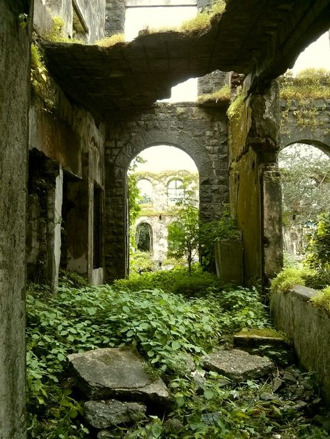 Ruined Architecture, Underground Ruins, Ruined Kingdom, Ruins Aesthetic, Overgrown Ruins, Building Ruins, Ruins Photography, Ruined Buildings, Urban Ruins