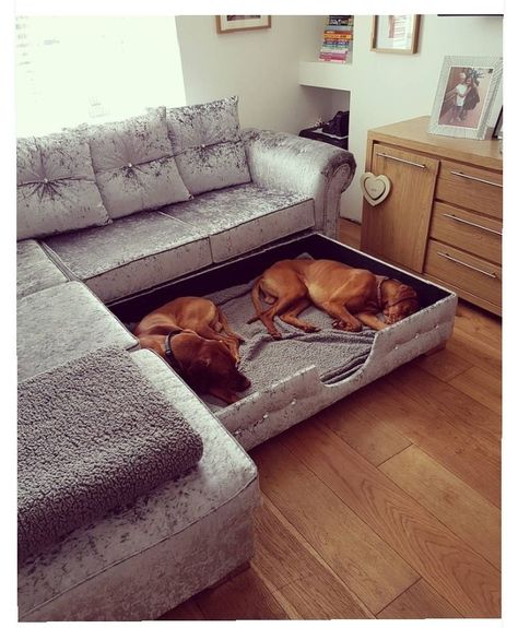 Corner Dog Bed, Beds Ideas, Dog Rooms, Design Del Prodotto, Dog Beds, Dog Houses, Diy Dog Stuff, Design Case, My New Room